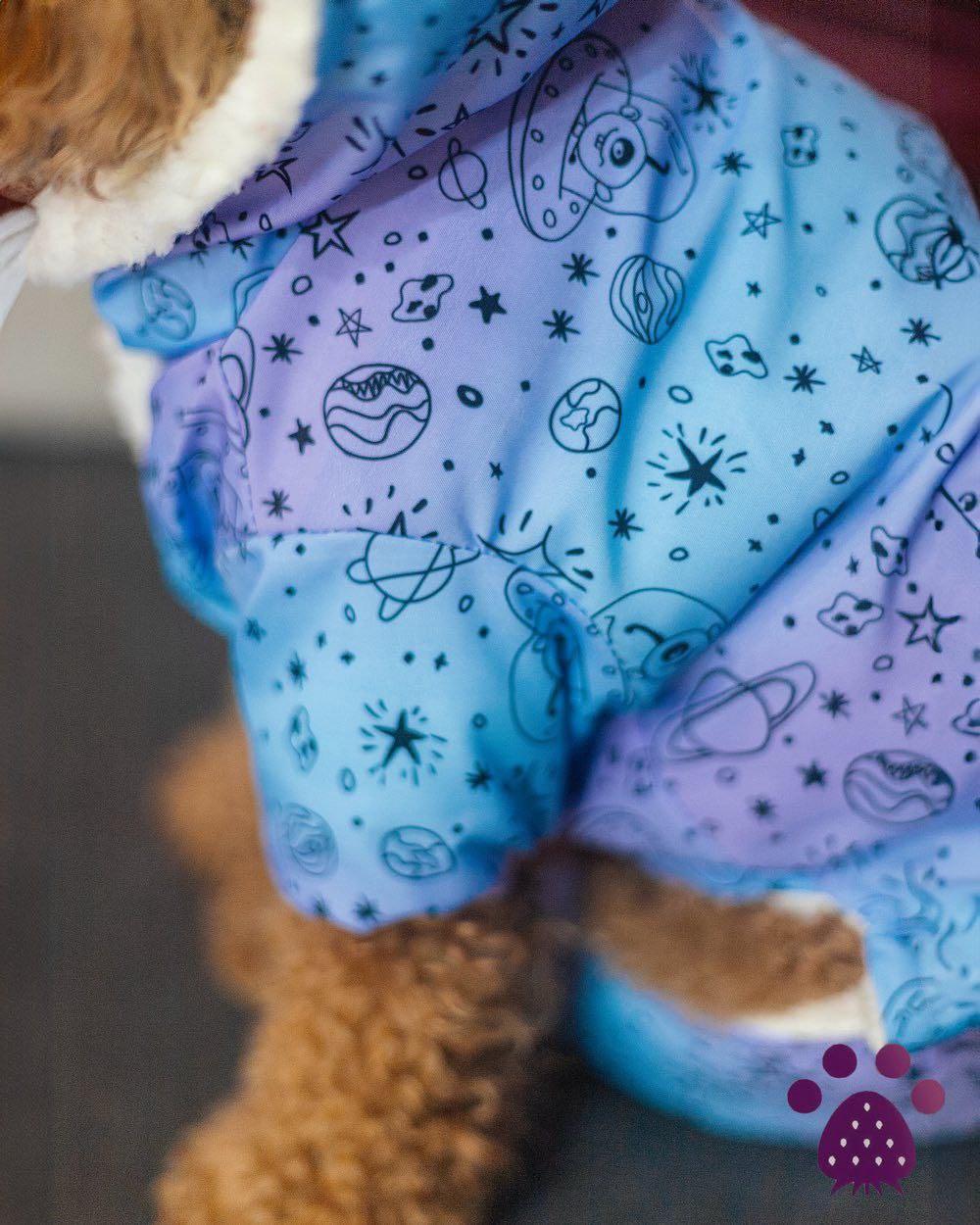 کاپشن کهکشانی