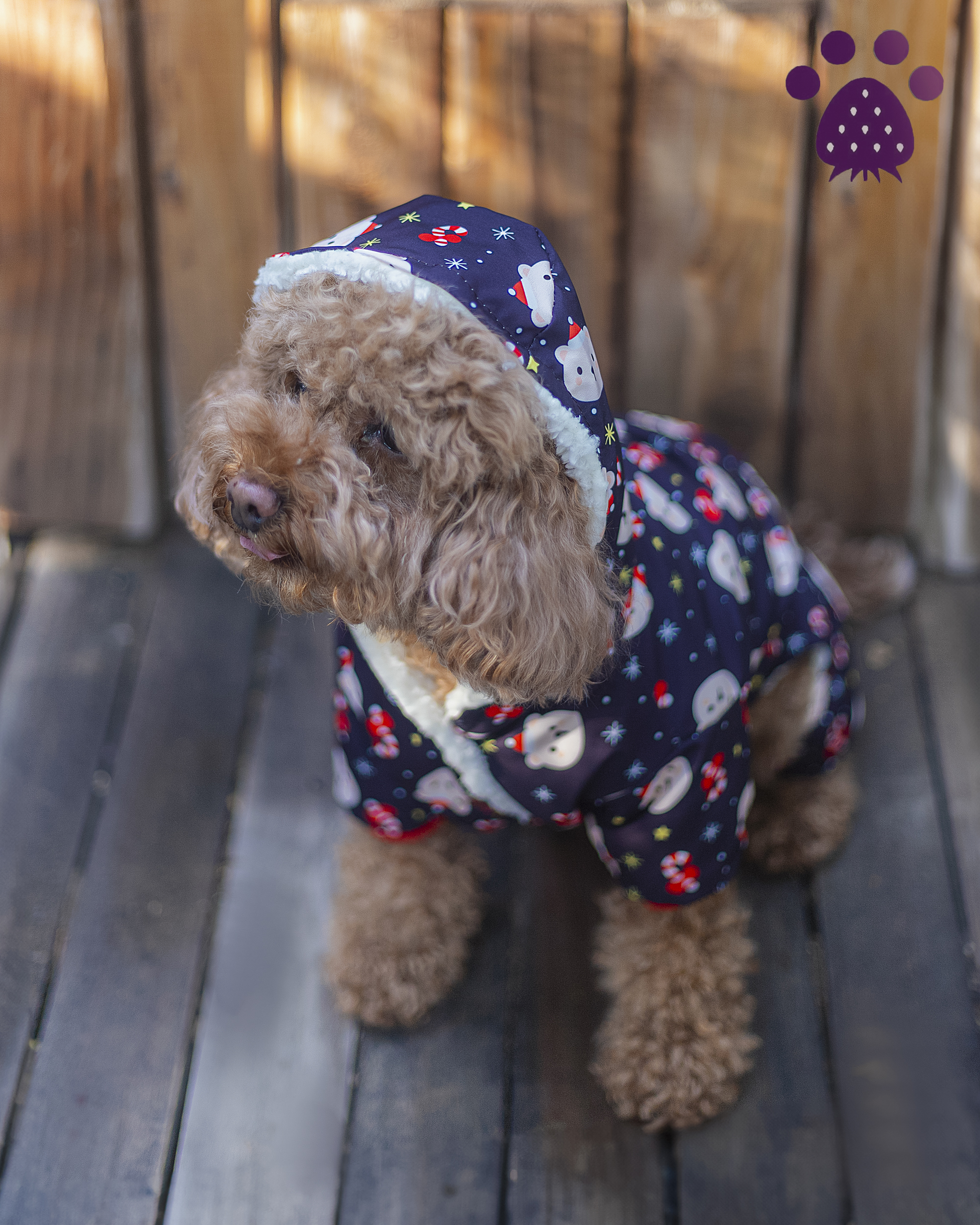 کاپشن کریسمس