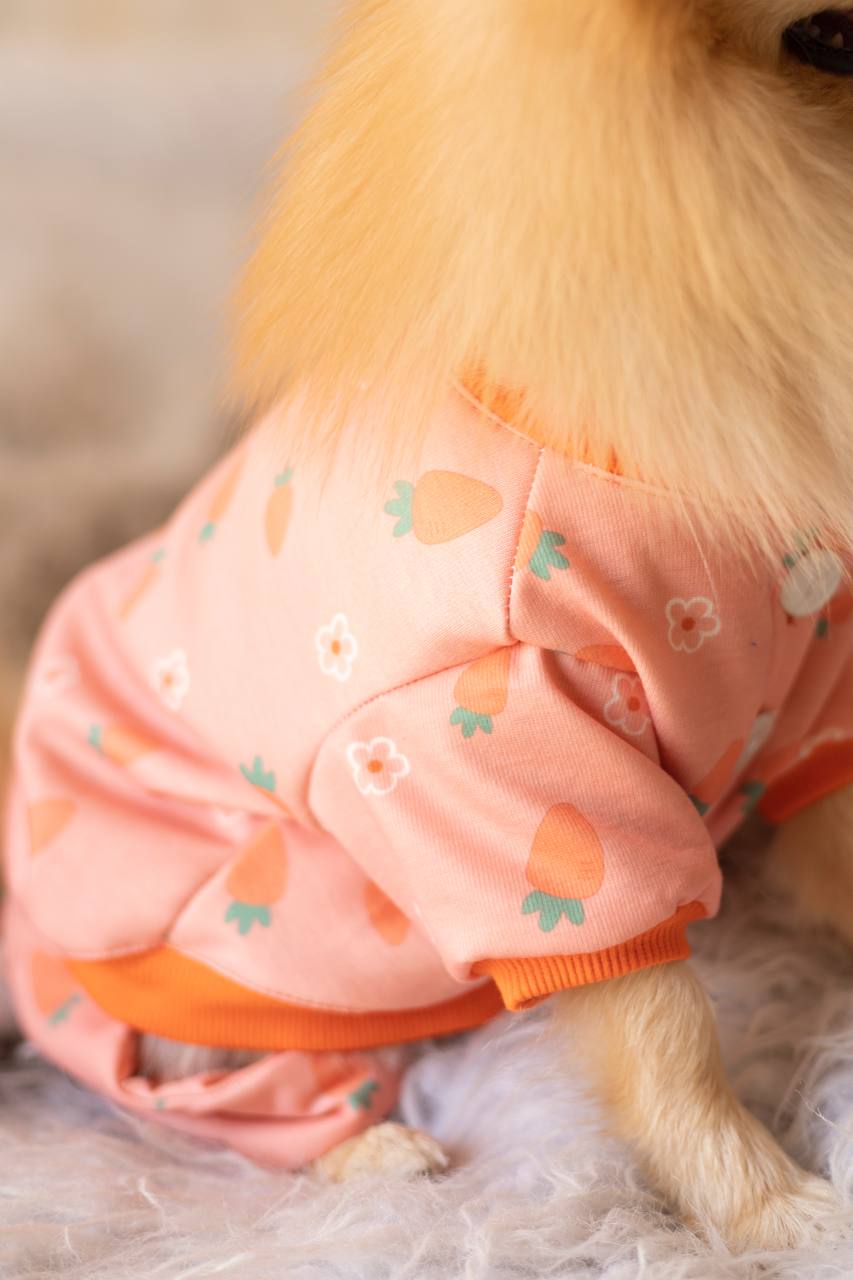 لباس خواب هویج