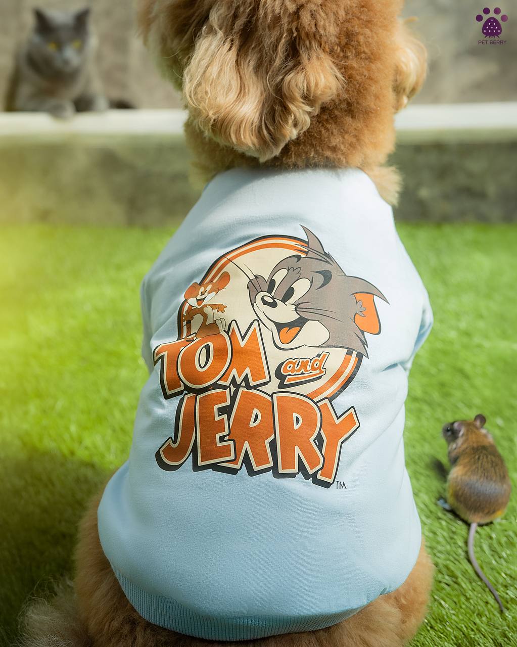 تیشرت تام جری