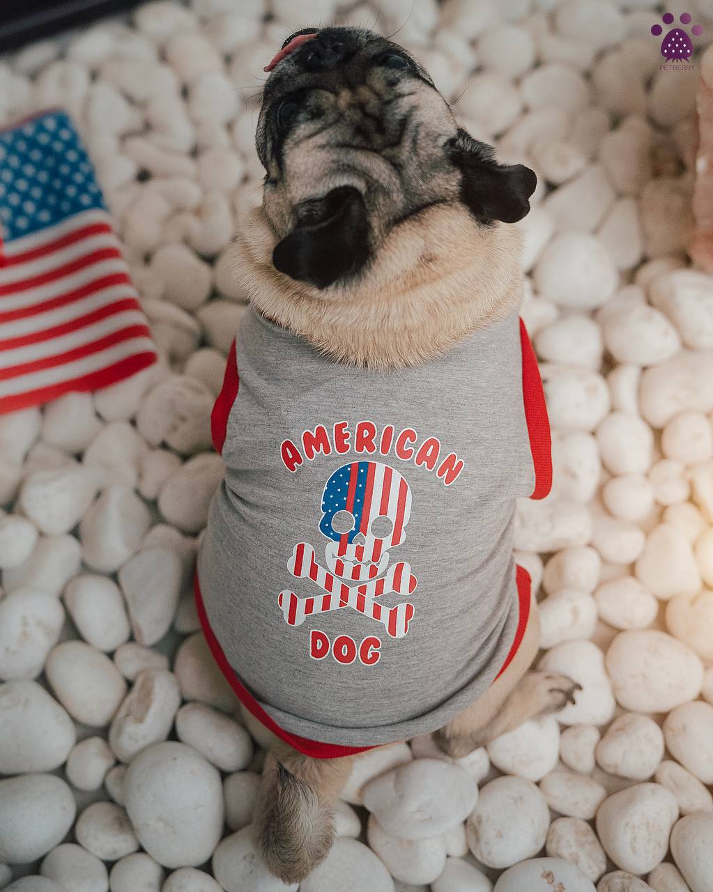 امریکان تیشرت