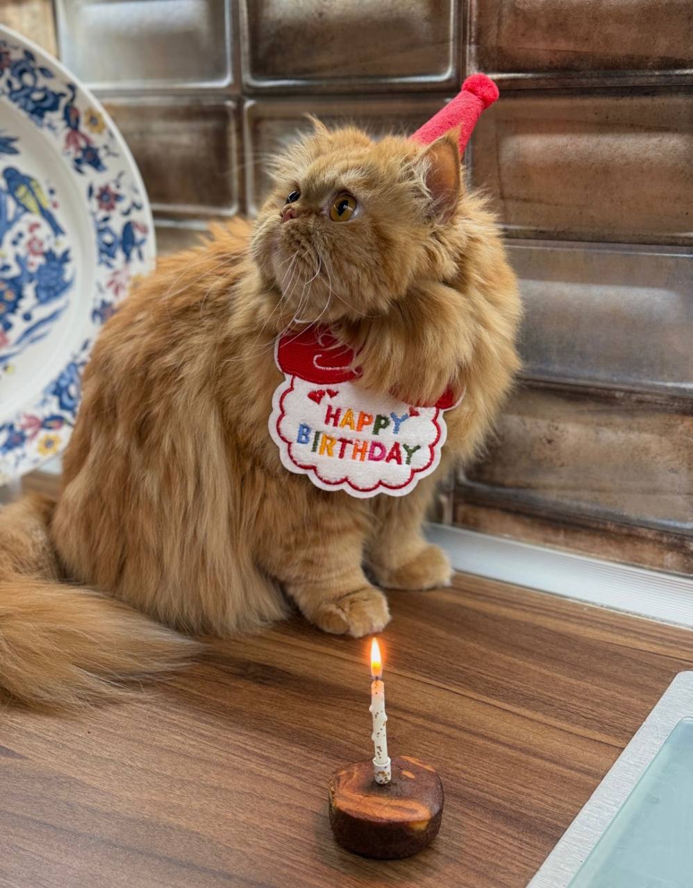 ست تولد🥳🎈