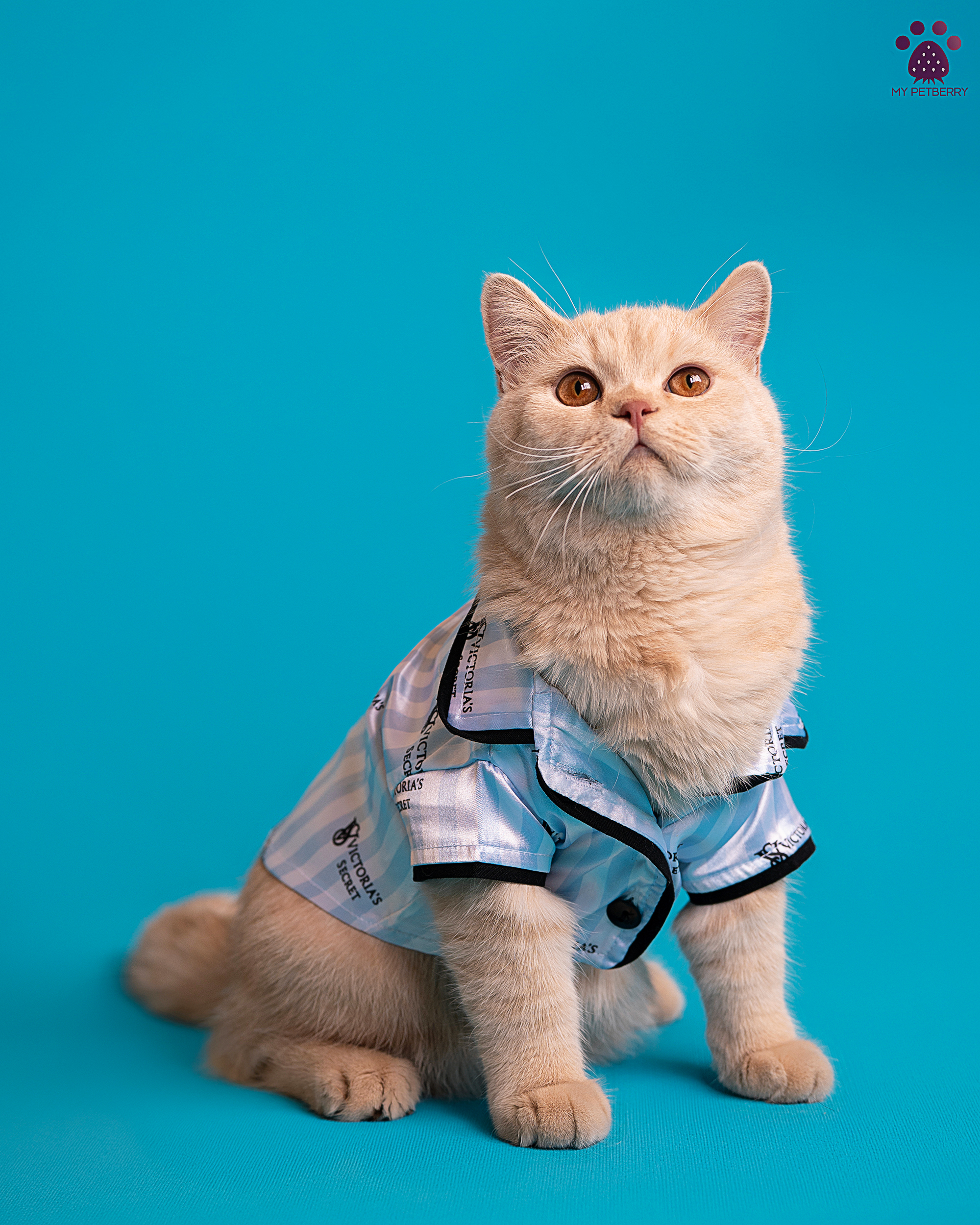 لباس خواب ویکتوریا